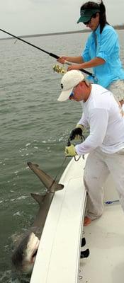 Shark Biting Boat!