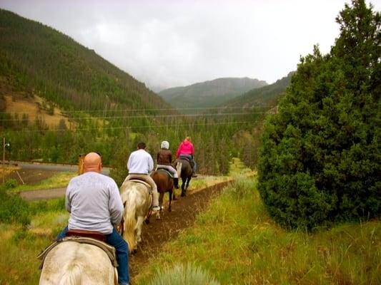 Horseback trail riding!