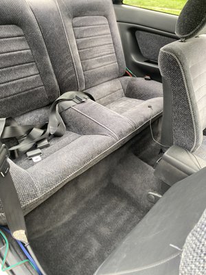 33 year old shampooed seats