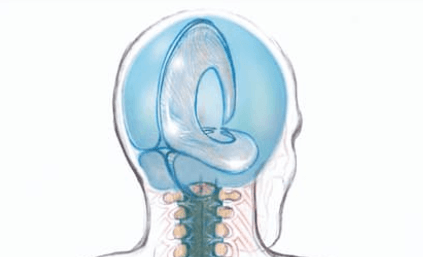 Craniosacral Therapy decompresses the cranial bones and membranes, and releases tissues through out the entire body.