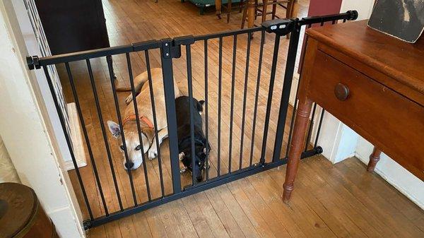 The kids may not be happy but the homeowner is. Simple gate install ensures the puppies are safe and not getting into areas they shouldn't.