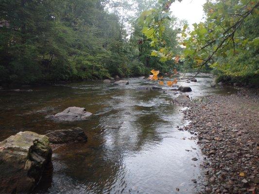 Shannon's Fly & Tackle Shop