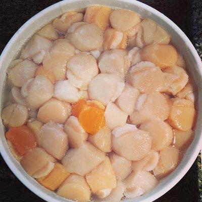 Fresh Maine Scallops