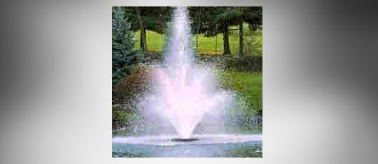 Ppfc - Ponds, Pools & Fountains