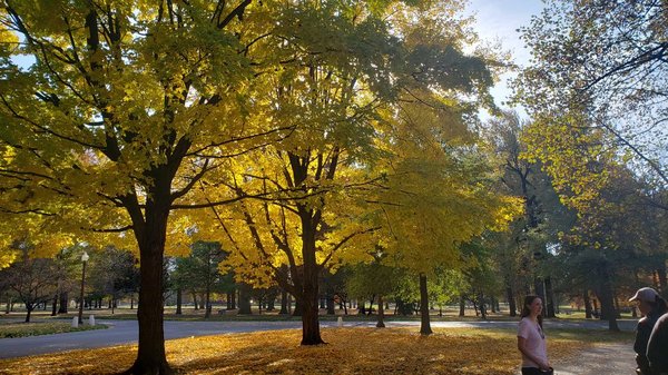 Personal Training in a natural space