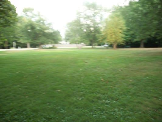 open, grassy area with bbq pits