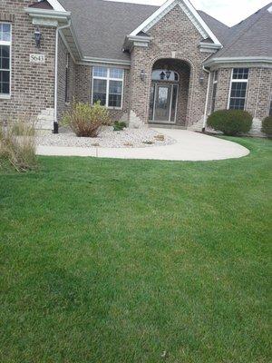 Armadillo Landscape Services