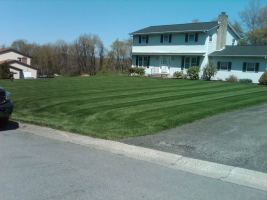 Another perfect lawn by Hawks Lawn&Garden care