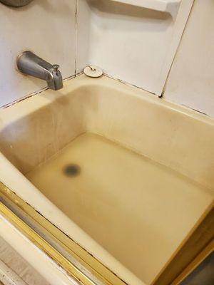 The sink was full of this gross water, turning the tub a brown color and causing the sewage remnants to be left in it.