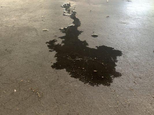 Oil leaking on garage floor.