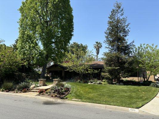 Gardening Maintenance : (Arcadia,Ca)