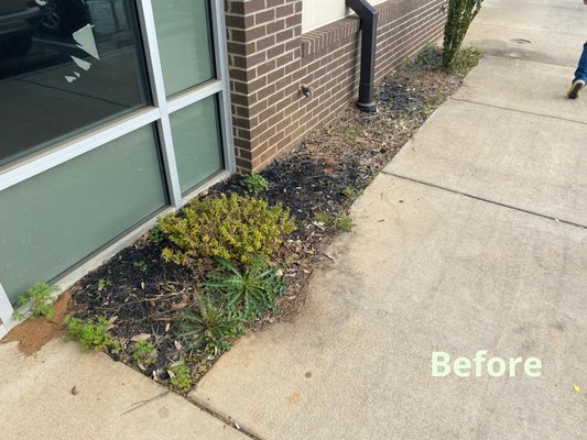 Commercial Landscaping Before