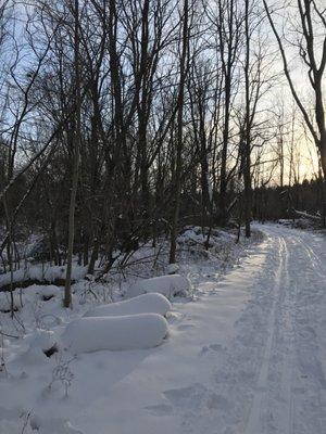 Webster Parks & Recreation Center