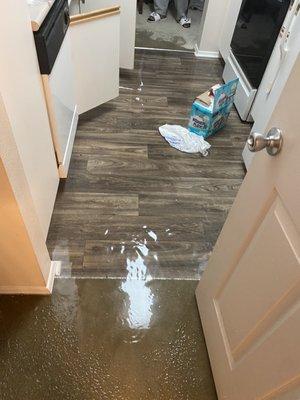 Flooded kitchen and living room