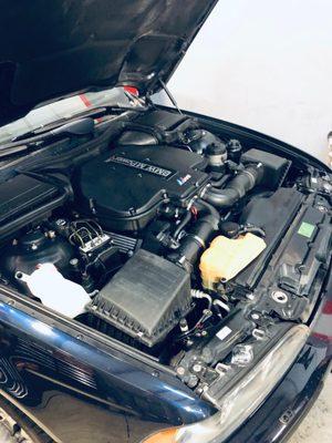 Clean engine bay!