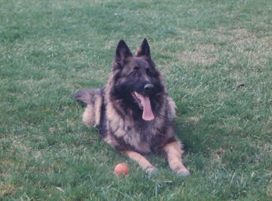 The Beautiful Elsa, 1988-2002