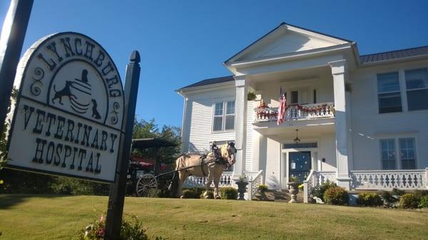 Lynchburg Veterinary Hospital