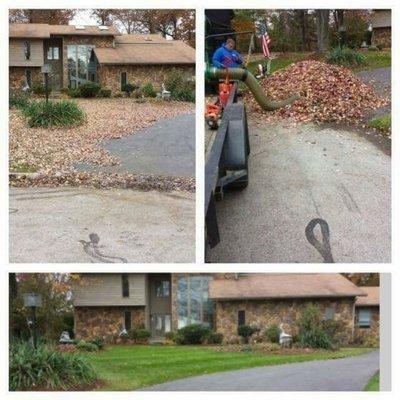 Leaf removals