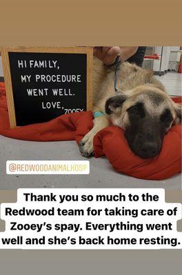 Redwood Animal Hospital