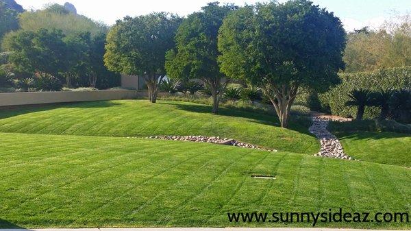 Lawn Care in Paradise Valley, AZ