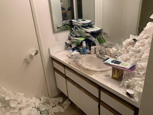 Bathroom prior to disinfection.