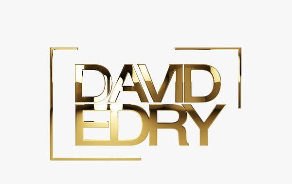 Dj David Edry LOGO