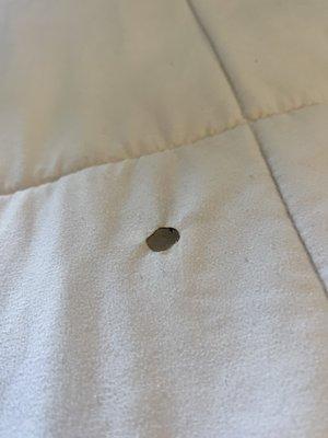 Burn holes in bedding