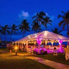 Our clear frame tent.