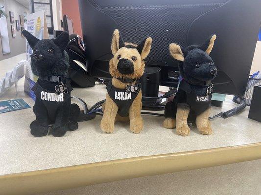 All the police K9 clients