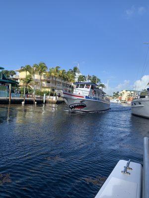 Sundiver Dock