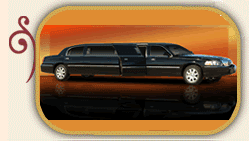 Limousine