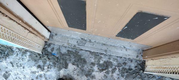 Wet cement at room front door while my family was inside