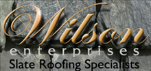 Wilson Enterprises logo