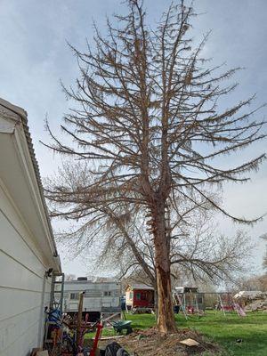 "just get it to the ground without breaking anything" -Customer in Twin falls, Idaho