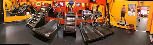 Cardio room featuring the Versa Climber, Jacobs Ladder, Stepper, Woodway Treadmill, Regular Treadmill, Rowing Machine.