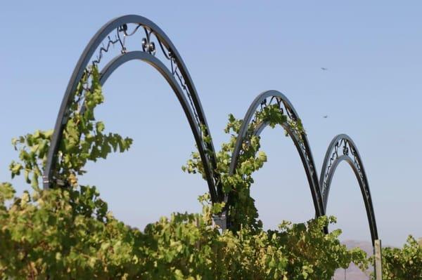 Custom Arches for a local Temecula Winery