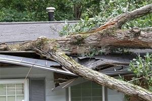 Storm Damage Repair and Restoration