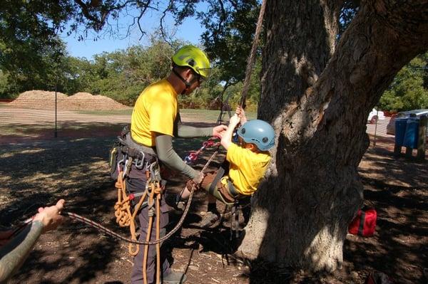 We regularly host Kids Climbs at events such as the Wildflower Center's Winter Tree Walk. It is our favorite volunteer activity!