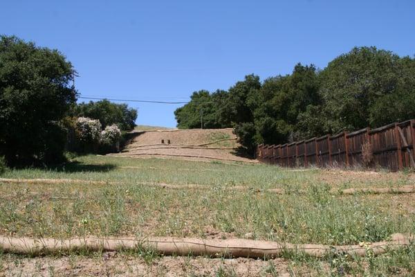 Successful test trial with Soil ProVide and ReVive in Redwood City - 2013.