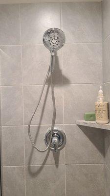 Moen shower head