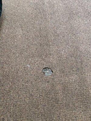 You move in with burn holes in carpet