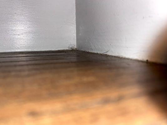 Stairs close-up: No vacuum or mopping