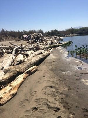 Sherman Lake Marina