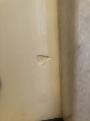 Better picture of the chip on front of my "brand new" tub (right there for everyone to see)!