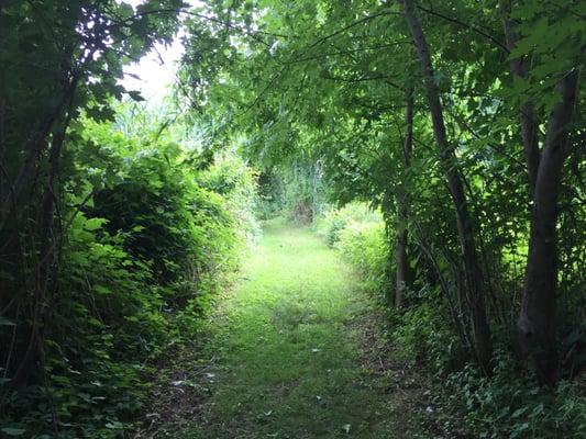 mowed section of path near the pedestrian "New Bridge"