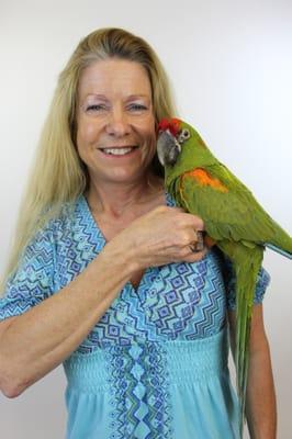 Red Fronted Macaws are very rare.