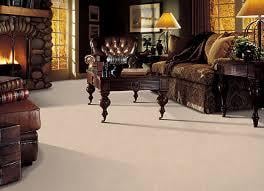 Royal Steamer Carpet & Upholstery Cleaning