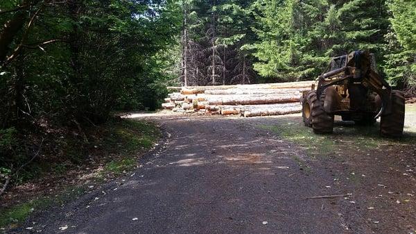 Logging in BEAVERCREEK OREGON