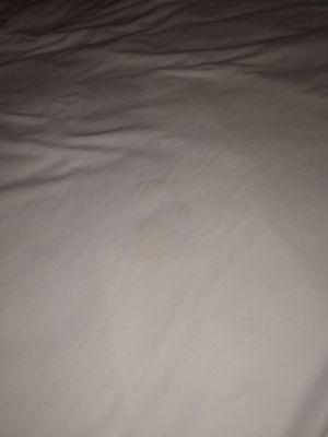 Stain on the sheets both of them on the same spot. I decided to touch it and it was all crunchy."cum" maybe?