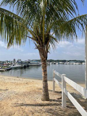 Beach by my table and the marina next door